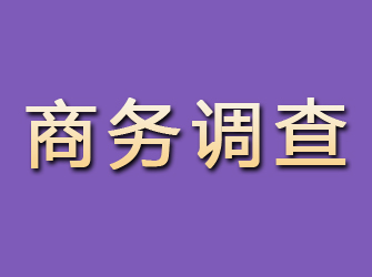 金家庄商务调查